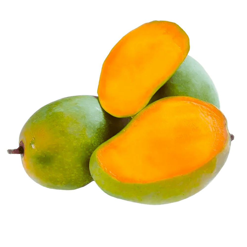 fresh kesar mango pune delivery devgad farm wastrad farms