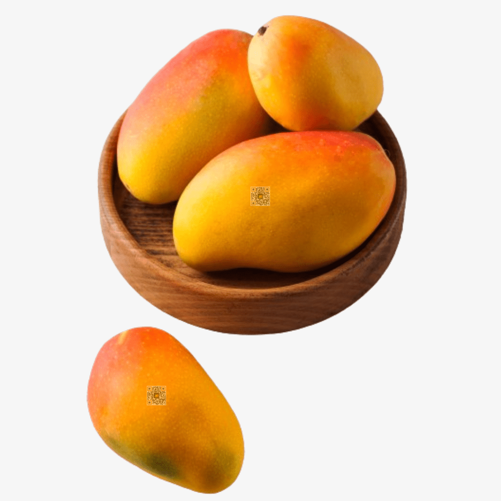 fresh kesar mango pune delivery devgad farm wastrad farms